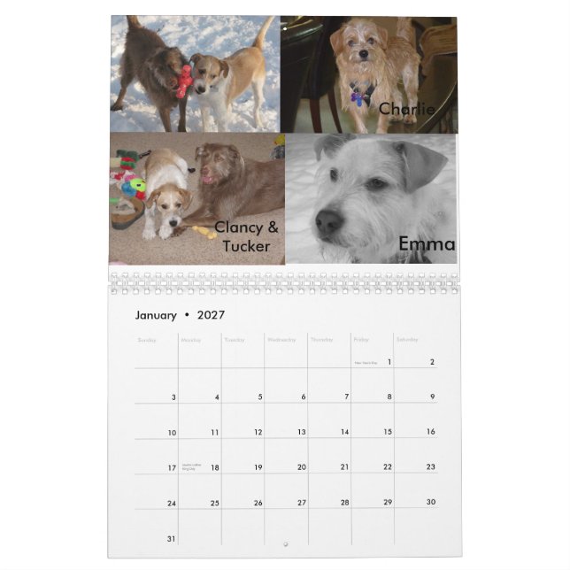 Calendario Rescate fluffy Dog (Jan 2027)