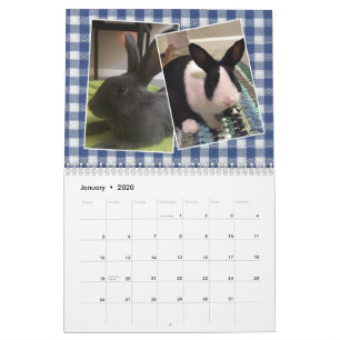 Calendario Rescate y educación para conejitos 2020