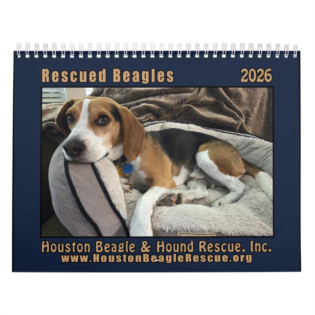 Calendario Rescued Beagles 2026 Wall Calendar (Tapa)