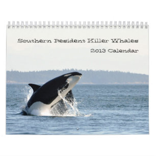 Calendario residente meridional de la orca 2013