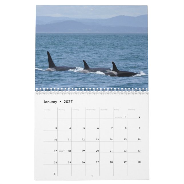 Calendario residente meridional de la orca 2013 (Jan 2027)