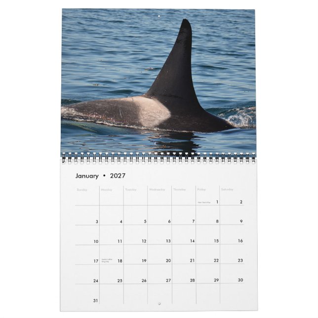 Calendario residente meridional de la orca 2015 (Jan 2027)