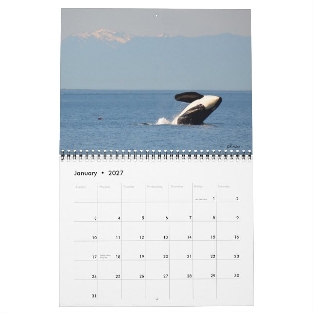 Calendario residente meridional de la orca 2018 (Jan 2027)