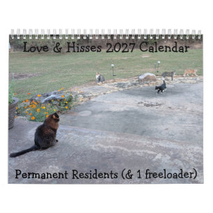 Calendario Residentes Permanentes: Amor y Siseos 2027