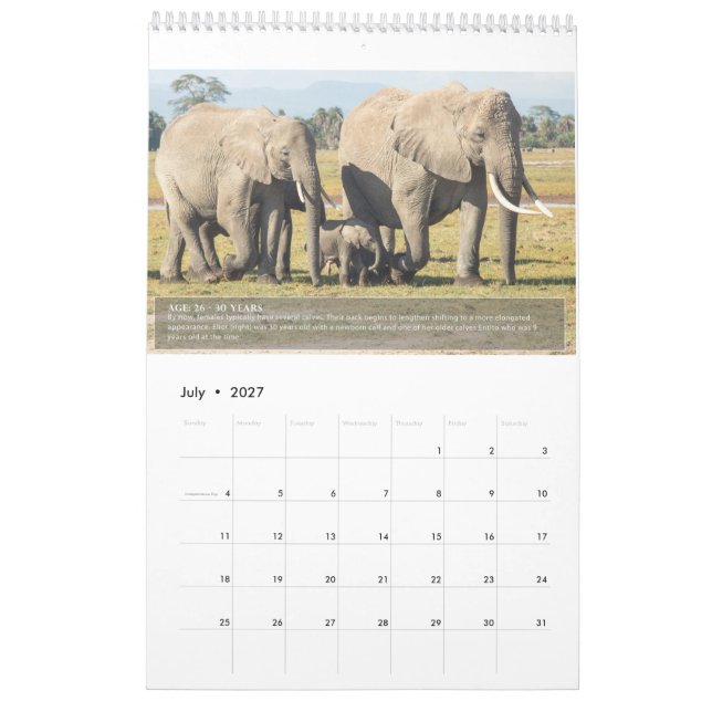 Calendario Retratos de la vida de un elefante (Jul 2027)