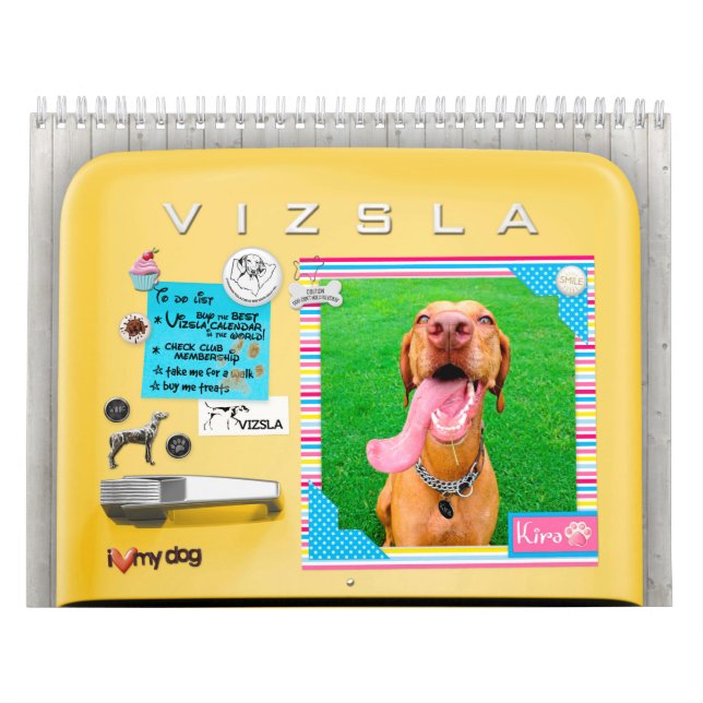 Calendario retro del refrigerador de VIZSLA (Tapa)