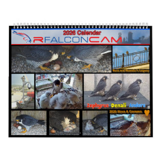 Calendario Rfalconcam 2026