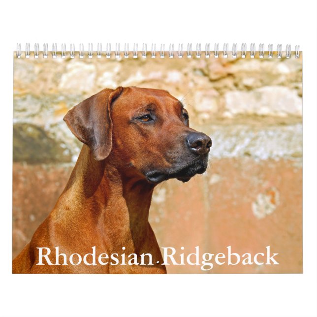 Calendario Rhodesia Ridgeback (Tapa)