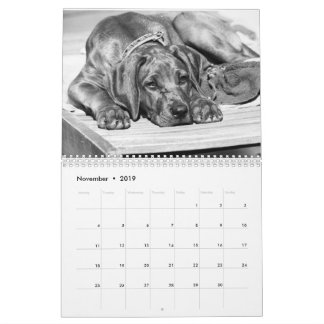Calendario Rhodesian Ridgeback 15 meses - Liondog