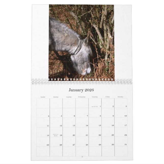 Calendario Ricks 2008 imágenes al azar C… (Jan 2026)