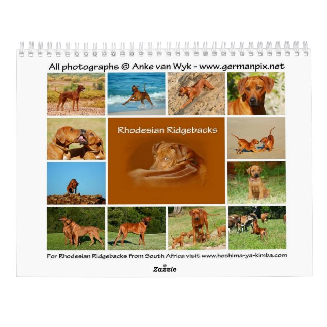 Calendario Ridgeback de Rhodesia (Reverso)