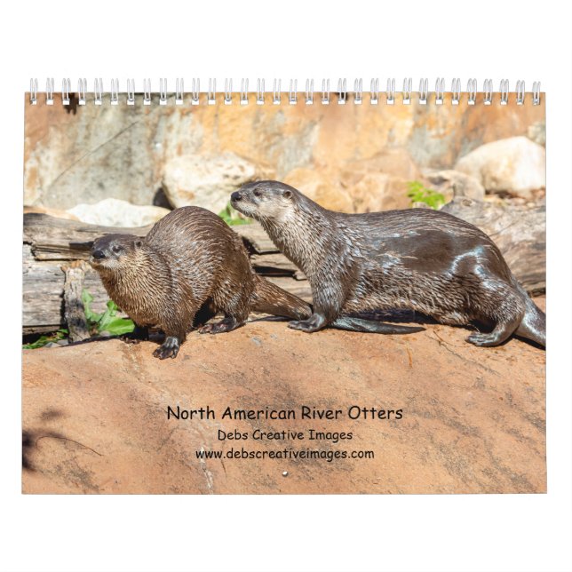Calendario Río Otters 2026 (Tapa)