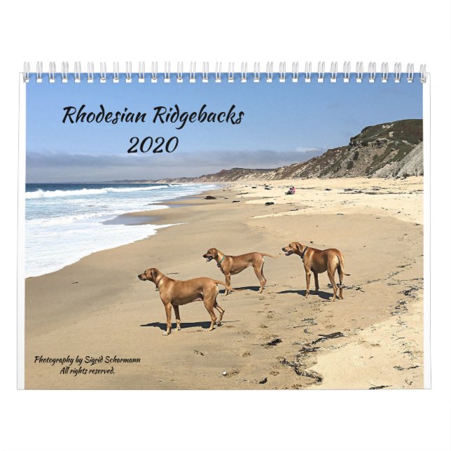 Calendario Rodesiano de regreso 2020 (Tapa)
