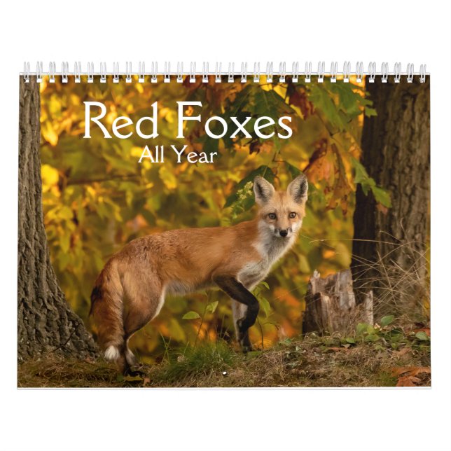 Calendario rojo de todo el año (Tapa)