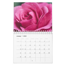 Calendario Rosa