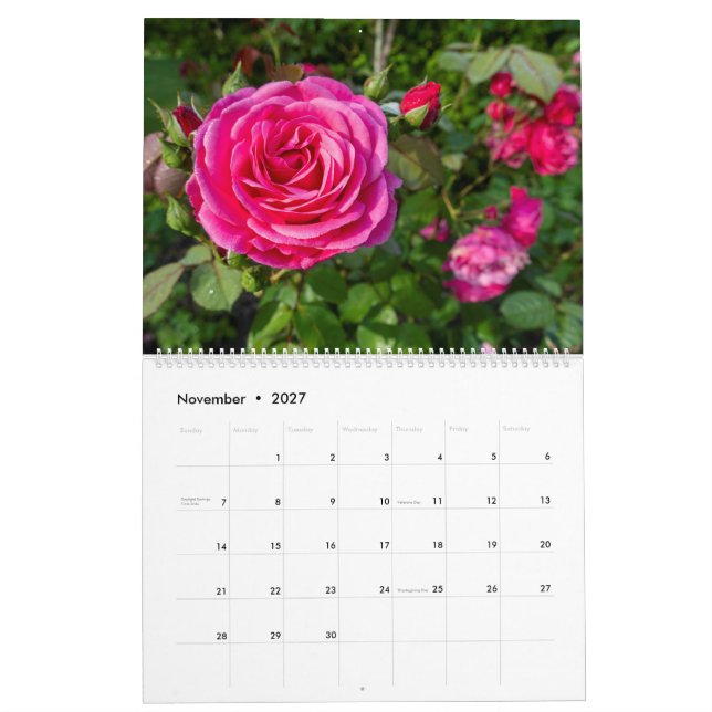 Calendario rosa (Nov 2027)
