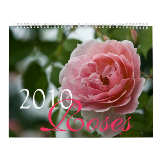 Calendario rosado de los rosas 2010 (Tapa)