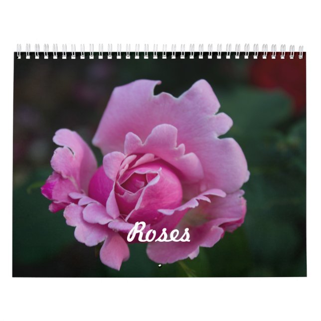Calendario Rosas (Tapa)