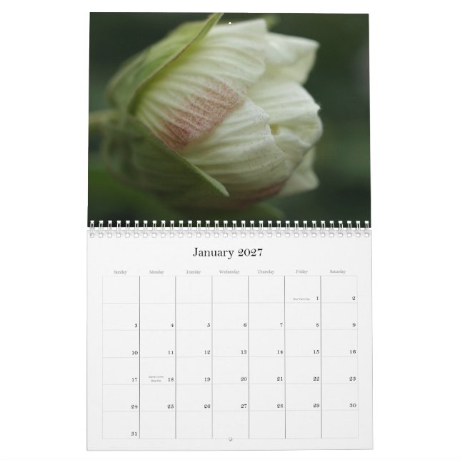 Calendario Rosas 2009 (Jan 2027)