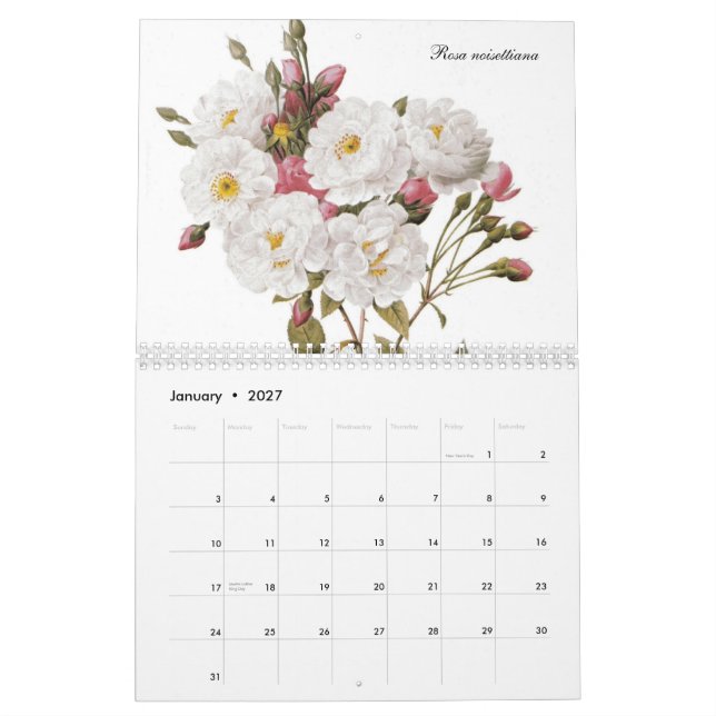 Calendario Rosas 2015 de Redouté (Jan 2027)
