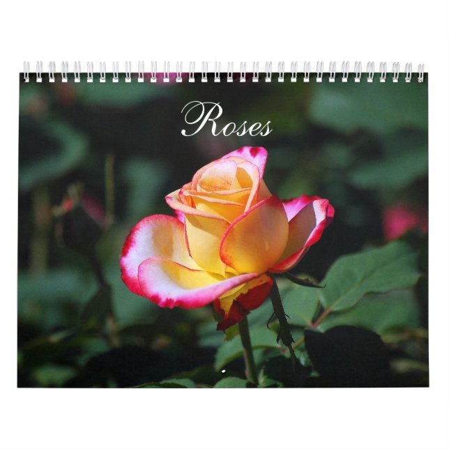 Calendario Rosas 2020 (Tapa)