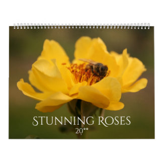 Calendario Rosas Fotografía Impresionante 2020