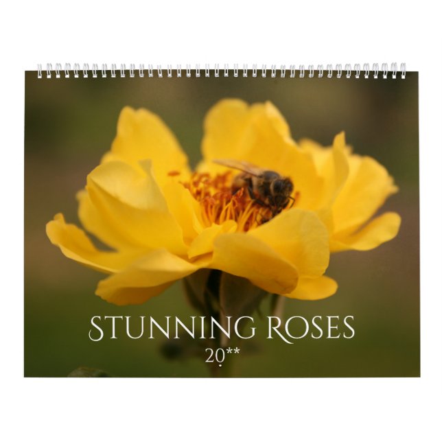 Calendario Rosas sorprendentes (Tapa)