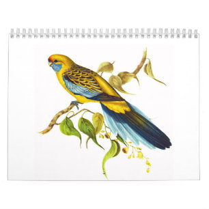 Calendario Rosella amarillo