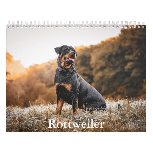 Calendario Rottweiler (Tapa)