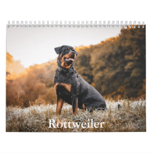 Calendario Rottweiler
