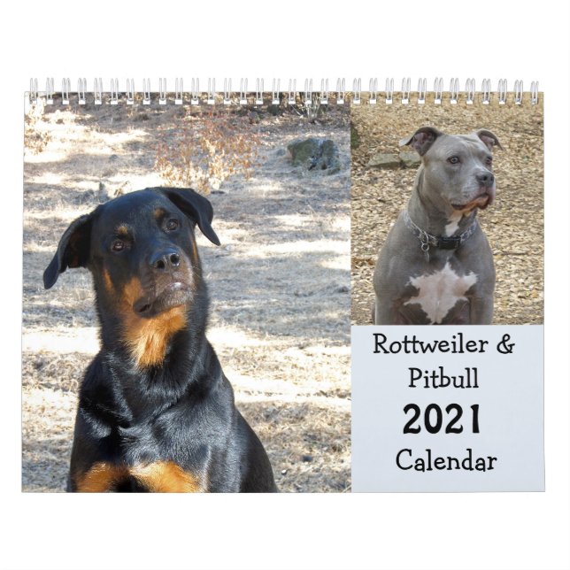 Calendario Rottweiler y Pitbull (Tapa)