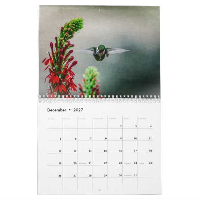Calendario Ruby Throated Hummingbirds (Dec 2027)