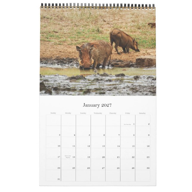 Calendario Safari 2012 de África de los animales salvajes (Jan 2027)