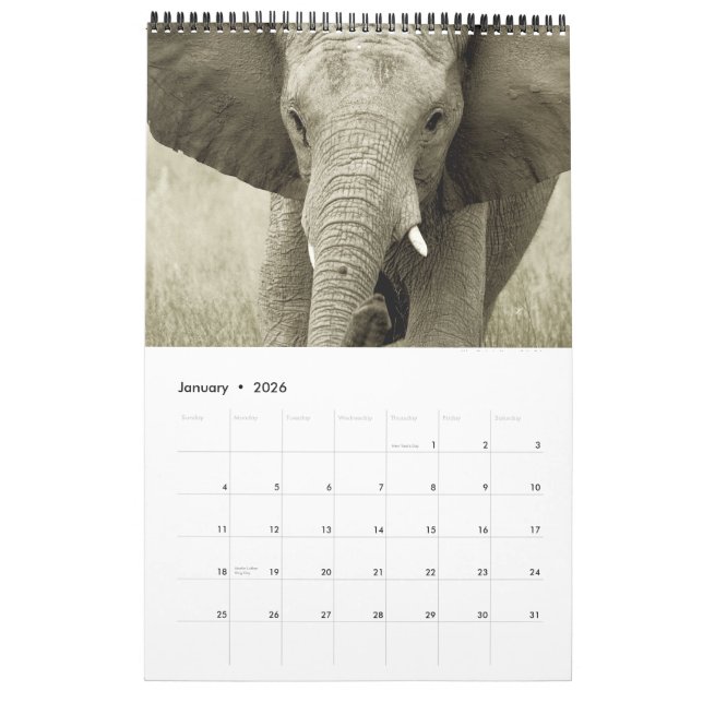 Calendario Safari 2012 de África de los animales salvajes (Jan 2026)