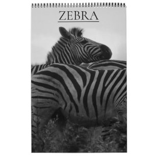 Calendario safari de cebras