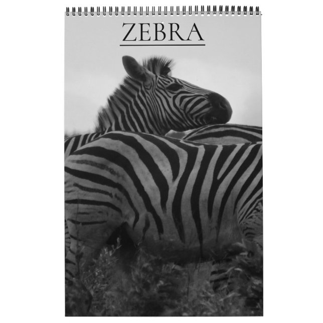 Calendario safari de cebras (Tapa)