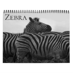 Calendario safari de cebras 2026