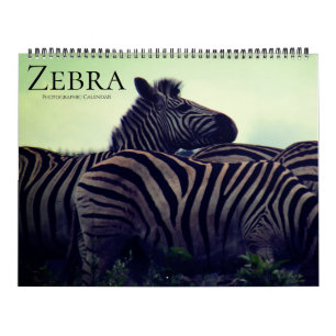Calendario safari de cebras 2026 grande