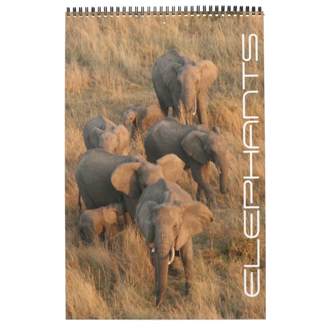 Calendario safari de elefantes (Tapa)
