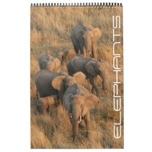 Calendario safari de elefantes