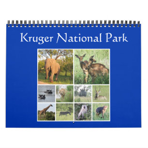 Calendario safari kruger