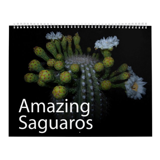 Calendario Saguaros asombroso (Tapa)