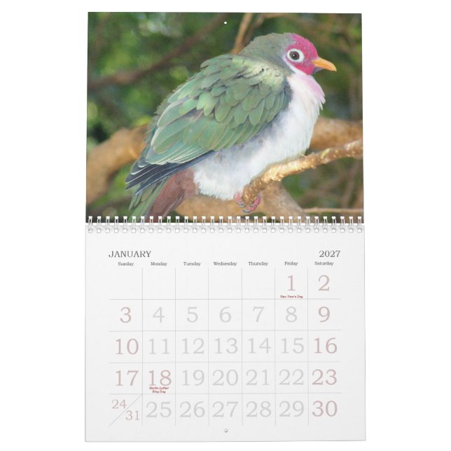 Calendario salvaje 2007 del pájaro de Rick (Jan 2027)