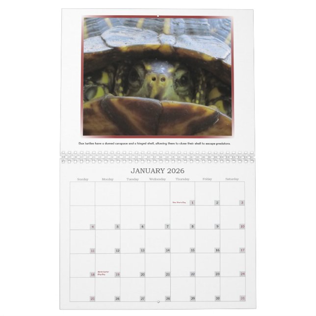 Calendario salvaje de las caras 2013 (Jan 2026)