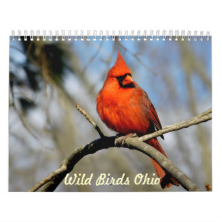 Calendario salvaje de Ohio de los pájaros