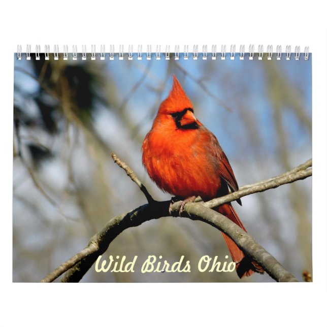 Calendario salvaje de Ohio de los pájaros (Tapa)