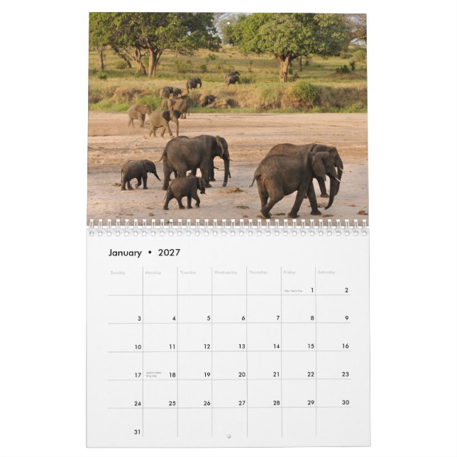 Calendario salvaje de Tanzania (Jan 2027)