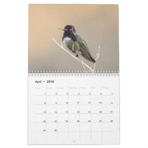 Calendario salvaje del pájaro 2018