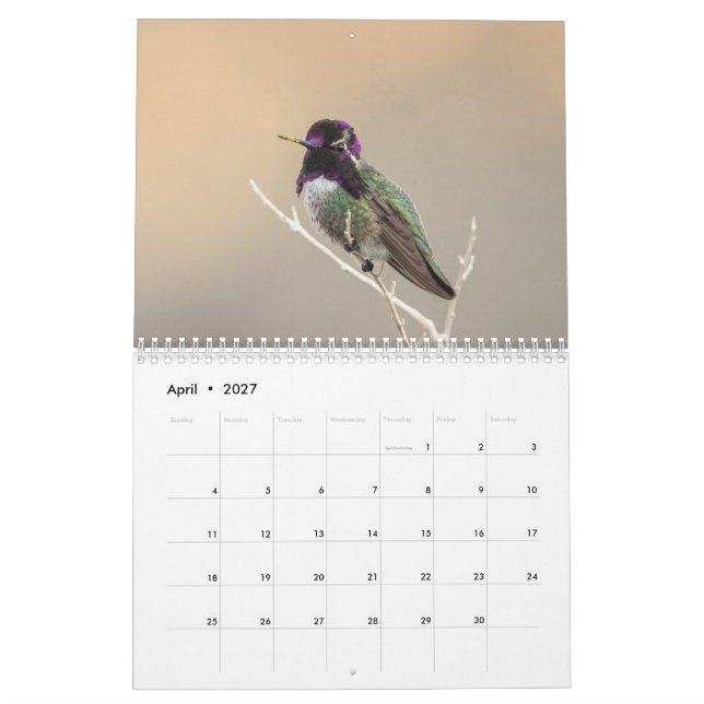 Calendario salvaje del pájaro 2018 (Apr 2027)