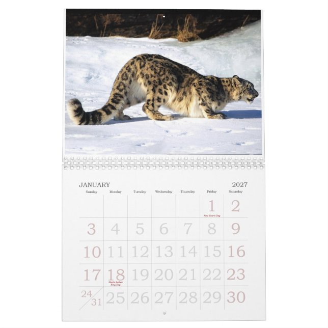 Calendario salvaje para un año salvaje (Jan 2027)